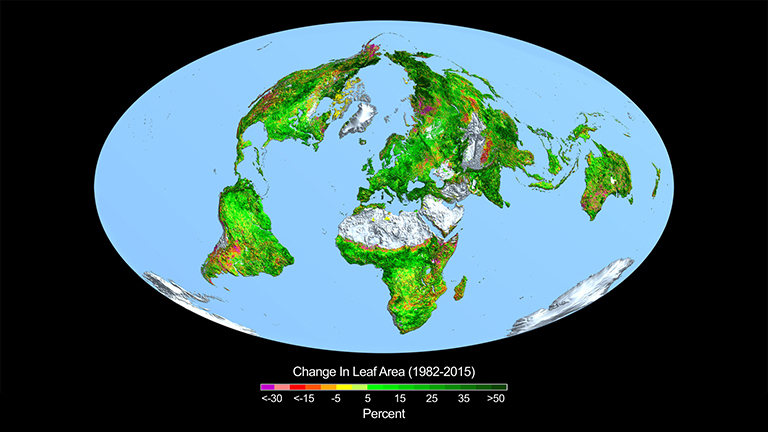 This image shows the change in leaf area across the globe from 1982-2015. Credit: Boston University/R. Myneni.