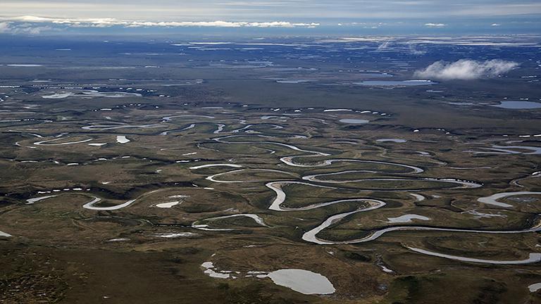 photo of National Petroleum Reserve in Alaska