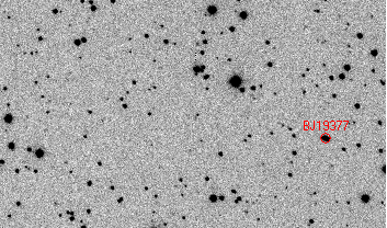 Across a mottled field of white and grey pixels with occasional distinct black spots, one black spot is circled in red and labeled “BJ19377.” As the animation moves between the four sequential images, all the black spots but this red-circled black one stay still. The circled black spot tracks from right to left, crossing almost the whole width of the field in the course of the four images.