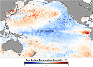 Cool waters in the tropical Pacific Ocean courtesy of La Niña, April 2008. La Niña helped make 2008 the coolest year of the last decade. The Pacific Decadal Oscillation (PDO) — a larger-scale, slower-cycling ocean pattern — can also be seen in this image, in its cool phase.Image courtesy of NASA's Earth Observatory; taken by the Advanced Microwave Scanning Radiometer for EOS (AMSR-E) on NASA's Aqua satellite.