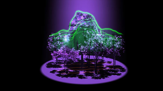 The Global Ecosystem Dynamics Investigation lidar will reveal the 3D architecture of forests, as depicted in this artist’s concept. The unprecedented detail of these measurements will provide crucial information about the impact that trees have on the amount of carbon in the atmosphere. Credit: NASA's Goddard Space Flight Center