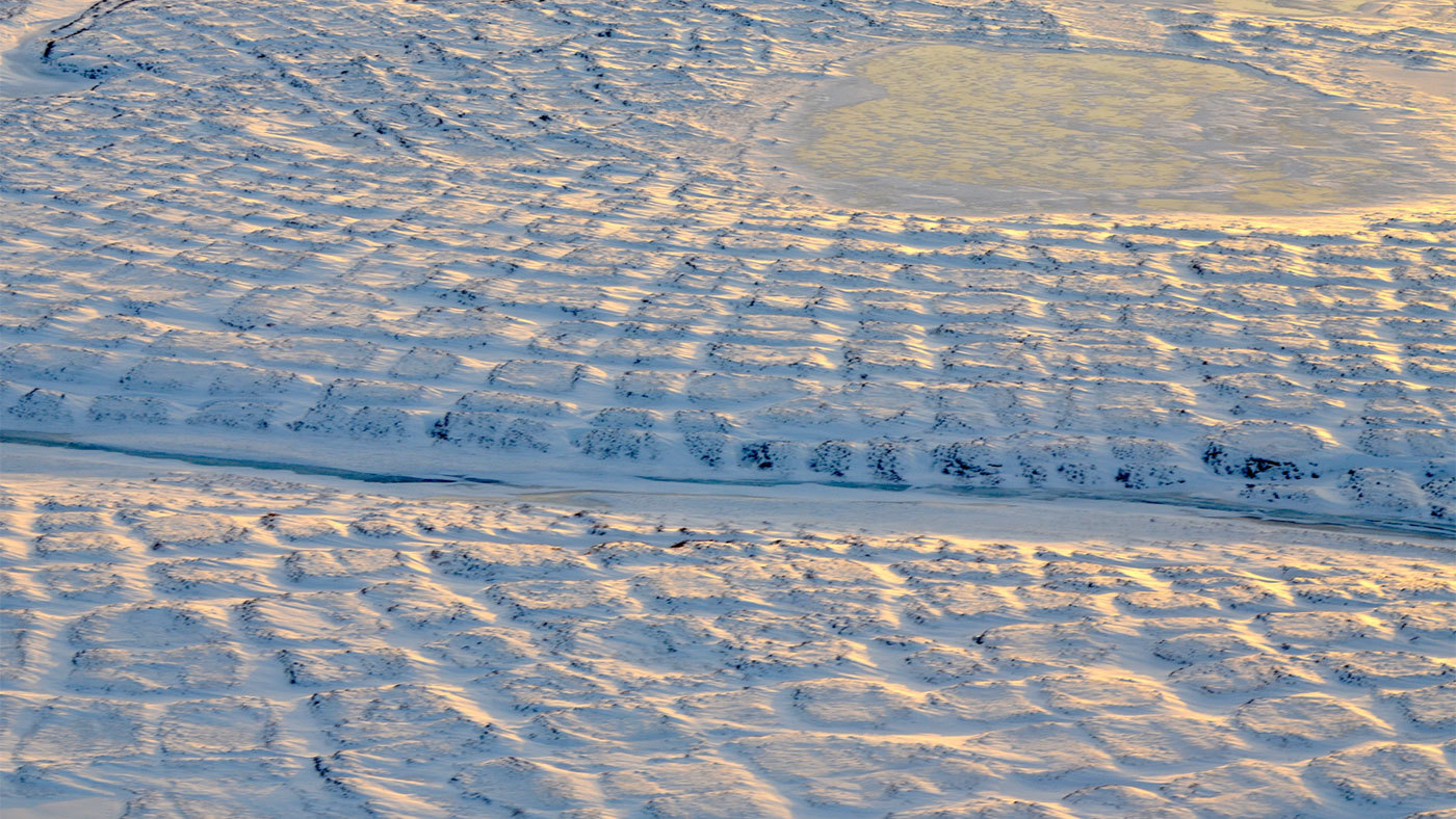 Tundra polygons on Alaska's North Slope