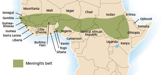 The African meningitis belt. Credit: World Health Organization