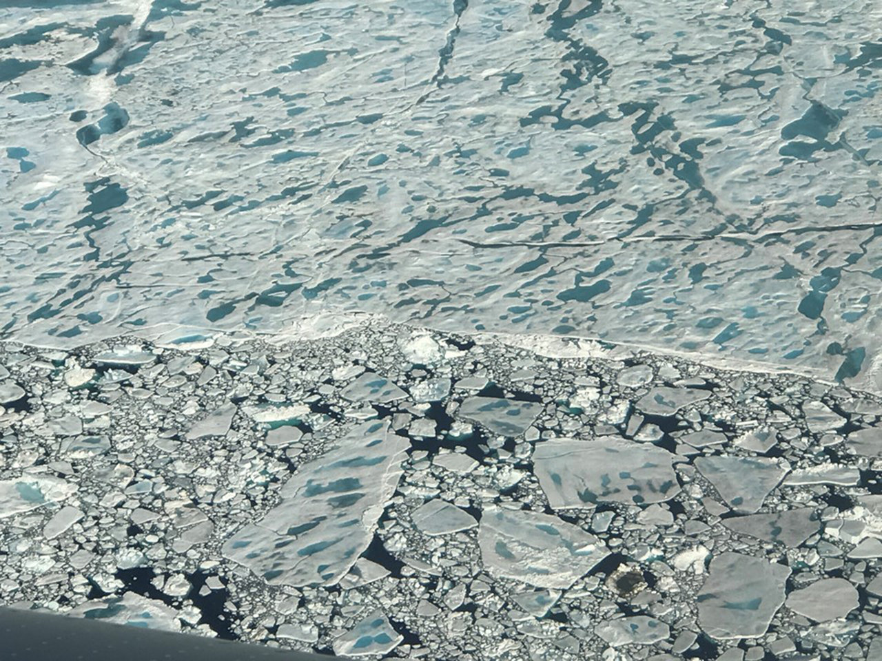 Many melt ponds on sea ice north of Greenland, as seen during an Operation IceBridge flight on July 24, 2017.