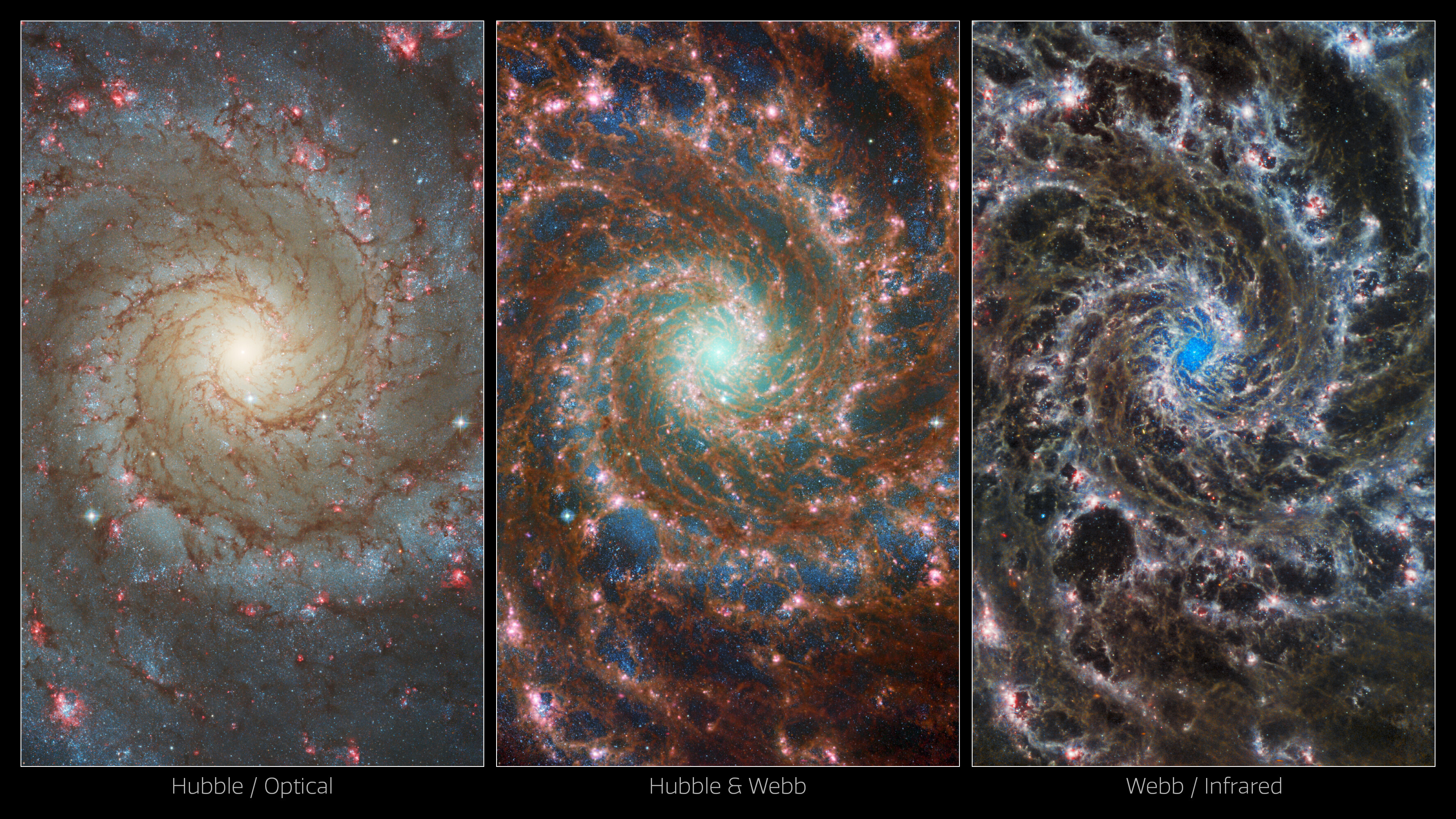 Three images of the Phantom Galaxy, M74, showcase the power of space observatories working together in multiple wavelengths. On the left, the NASA/ESA Hubble Space Telescope’s view of the galaxy ranges from the older, redder stars towards the centre, to younger and bluer stars in its spiral arms, to the most active stellar formation in the red bubbles of H II regions. On the right, the NASA/ESA/CSA James Webb Space Telescope’s image is strikingly different, instead highlighting the masses of gas and dust within the galaxy’s arms, and the dense cluster of stars at its core.
