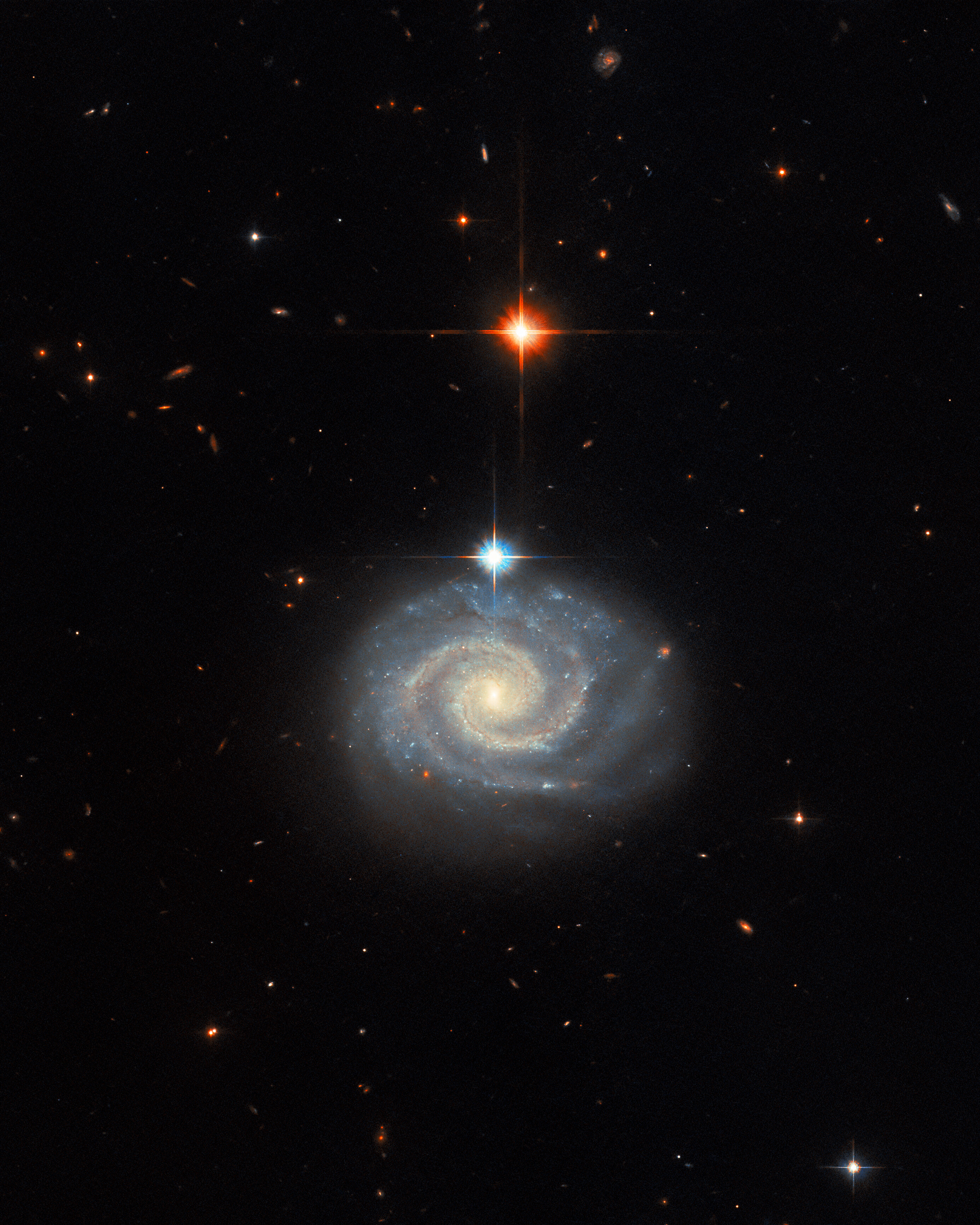 A spiral galaxy. It appears to be almost circular and seen face-on, with two prominent spiral arms winding out from a glowing core. It is centered in the frame as if a portrait. Most of the background is black, with only tiny, distant galaxies, but there are two large bright stars in the foreground, one blue and one red, directly above the galaxy.
