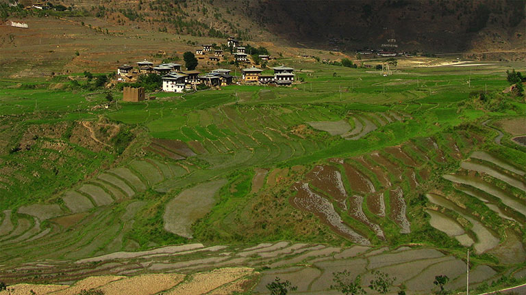 Northern India is one of the soil moisture hot spots found in Koster's study. Credit: Wikimedia Commons