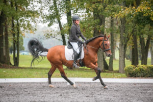 The image is centered on a woman riding a brown horse that has black hair. The woman wears a black jacket and riding pants and also has on a helmet. The horse appears to be in movement, cantering, with its tail swishing, and is facing the right side of the image. The ground they are riding on is a dirt pasture, and behind them lies a grove of green trees with green grass below it.