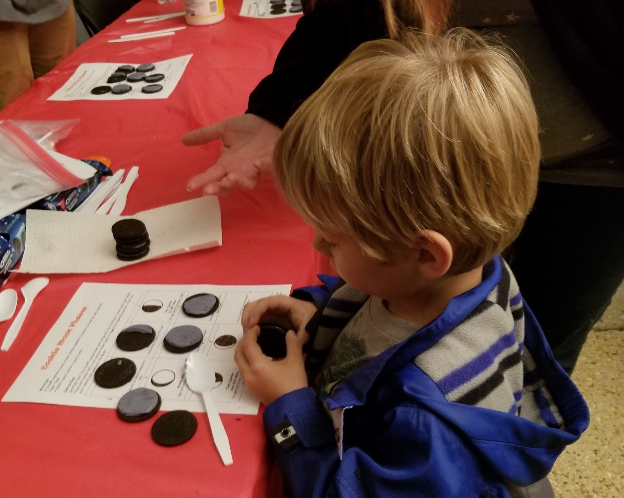 Loony Lunar Phases