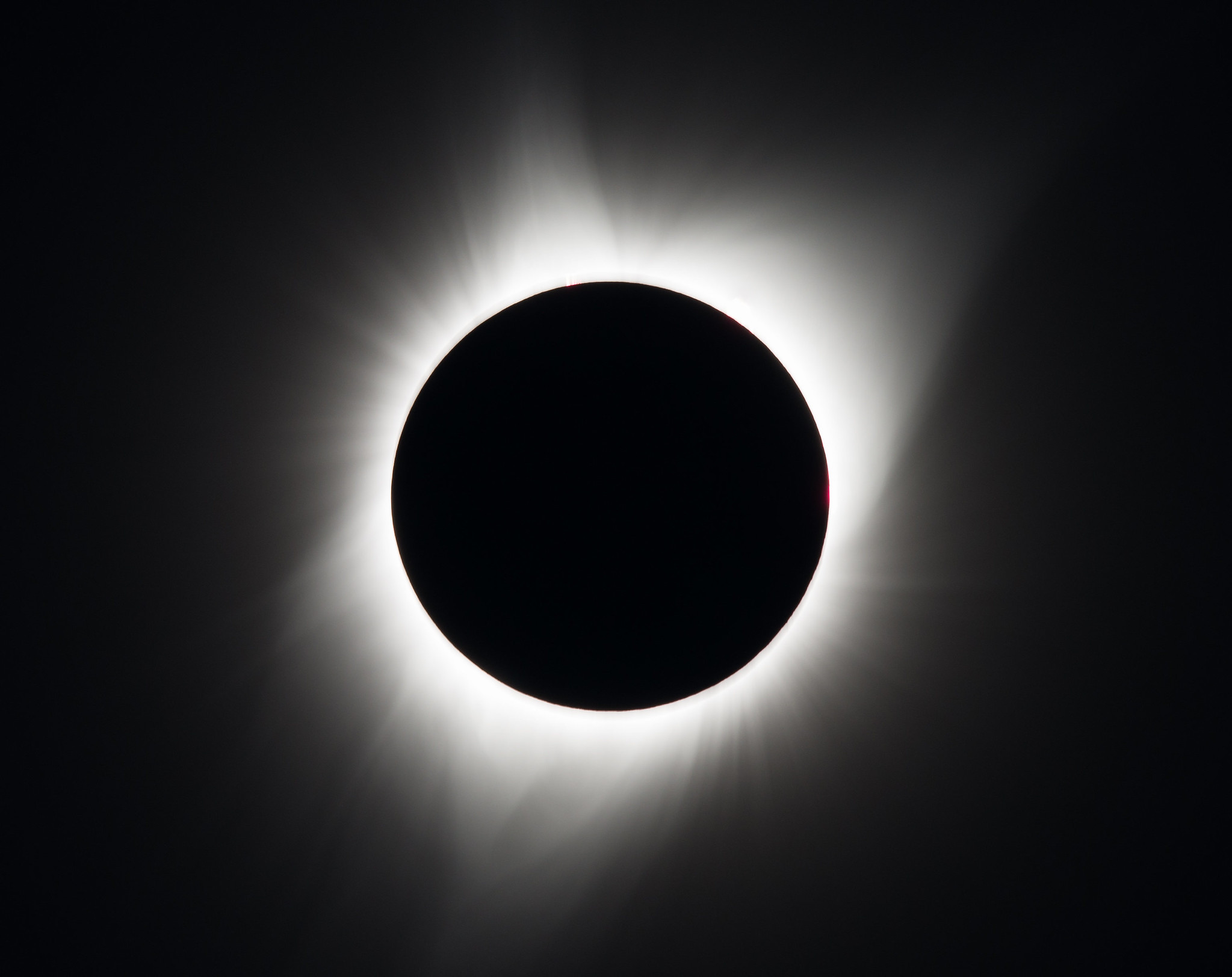 Against a black background is a total solar eclipse. In the middle is a black circle – the Moon. Surrounding it are white streams of wispy light, streaming out into the sky.