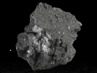 Close-up of a jagged rock, mostly dark grey with light gray patches and speckles.