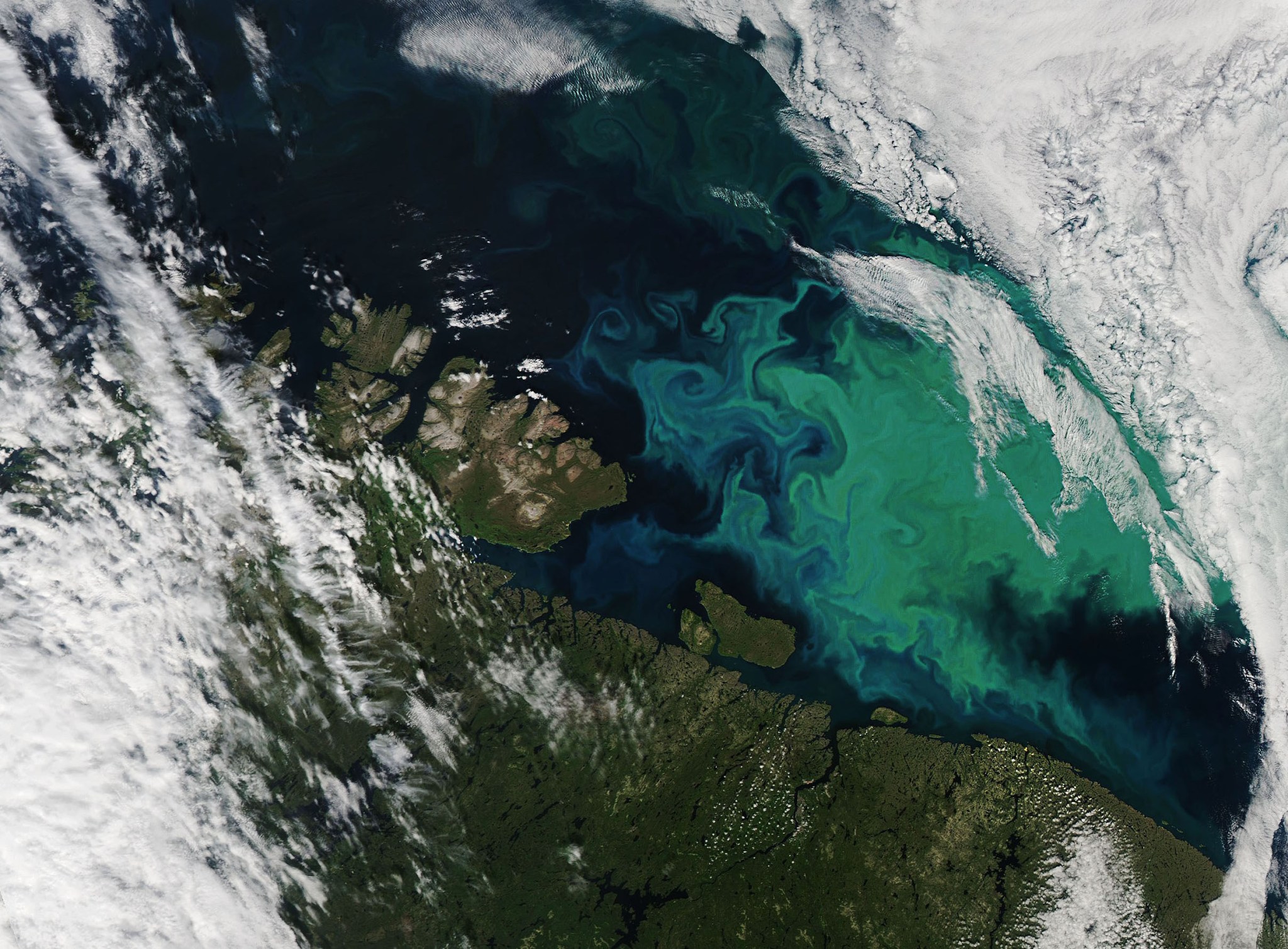 An aerial view of a portion of the planet shows white, wispy cloud coverage over both land and ocean. Clouds are seen in the bottom left corner extending up towards the top left corner but dwindling as it rises. Clouds are also seen in the top right corner. A green colored land mass is seen along the bottom third of the image. There are some islands off the coast of the land as well. In the dark blue ocean, are vibrant swirls of teal and green phytoplankton blooms.