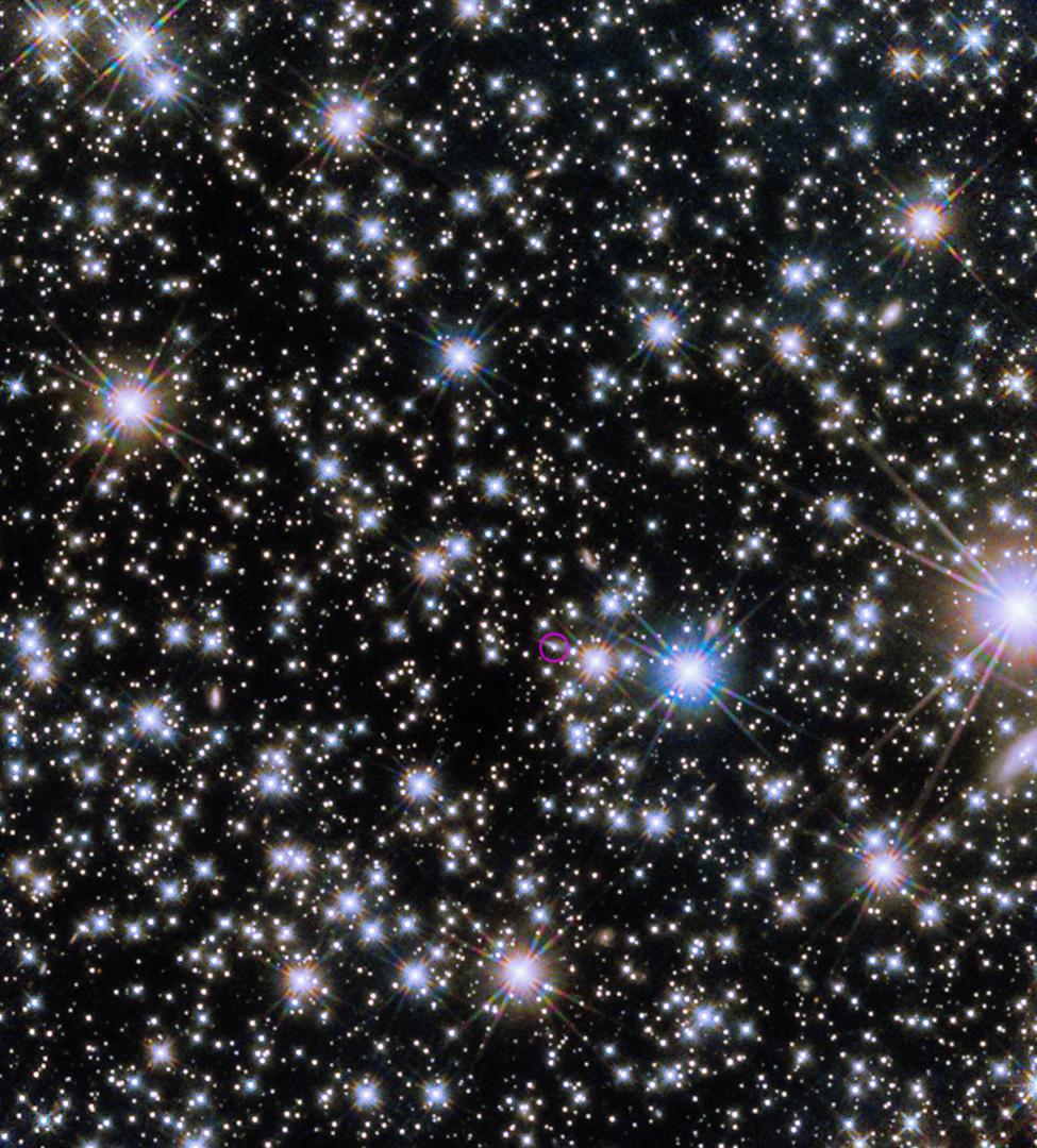 A field filled with stars and galaxies against a black background. A small pinkish circle at image center denotes the host galaxy of a gamma-ray burst.