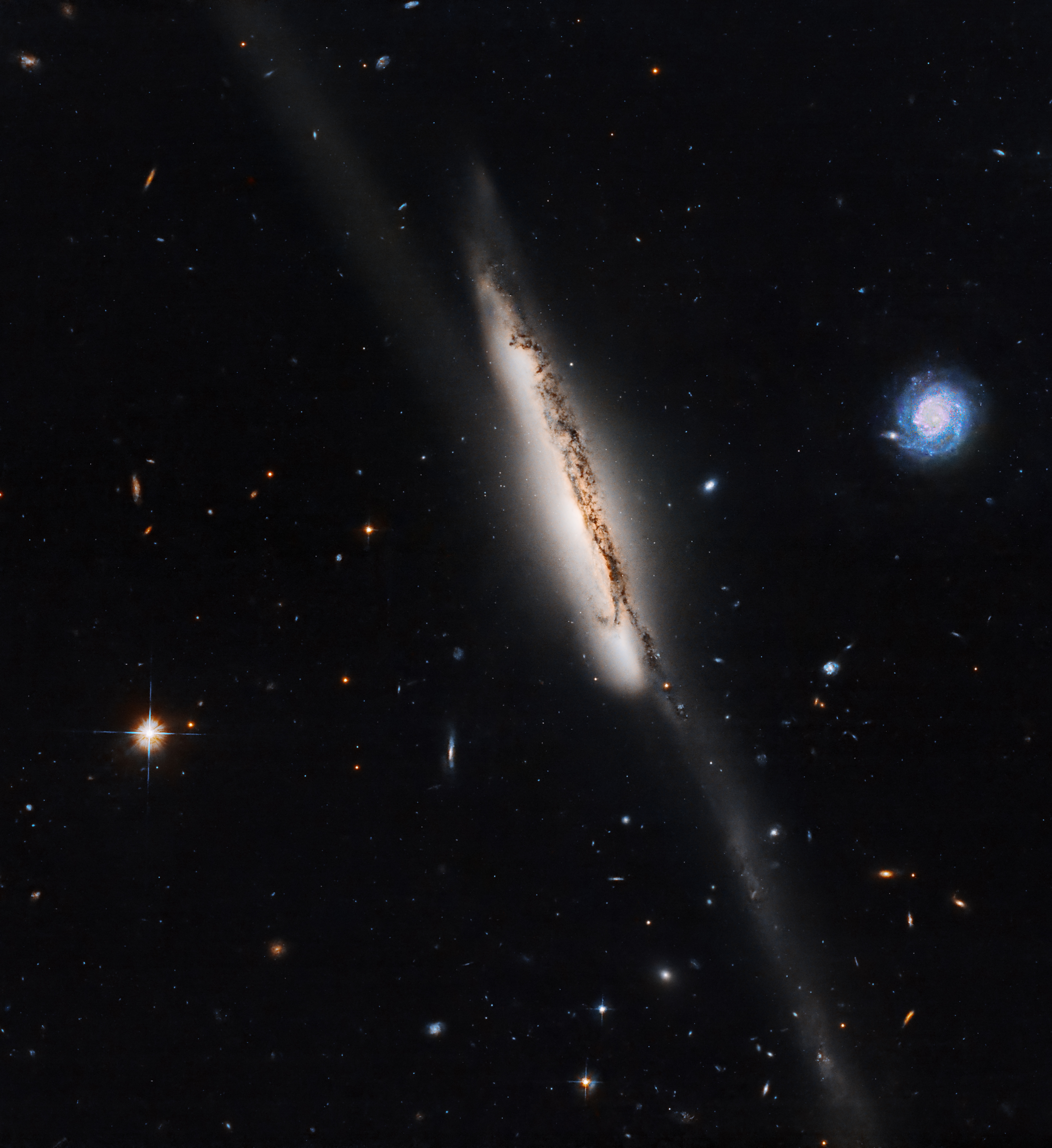 A galaxy laced through with dark brown dust is viewed edge-on, shining against black space dotted with more distant galaxies. The central galaxy has a hazy bridge of faint stars extending down through the bottom of the image.