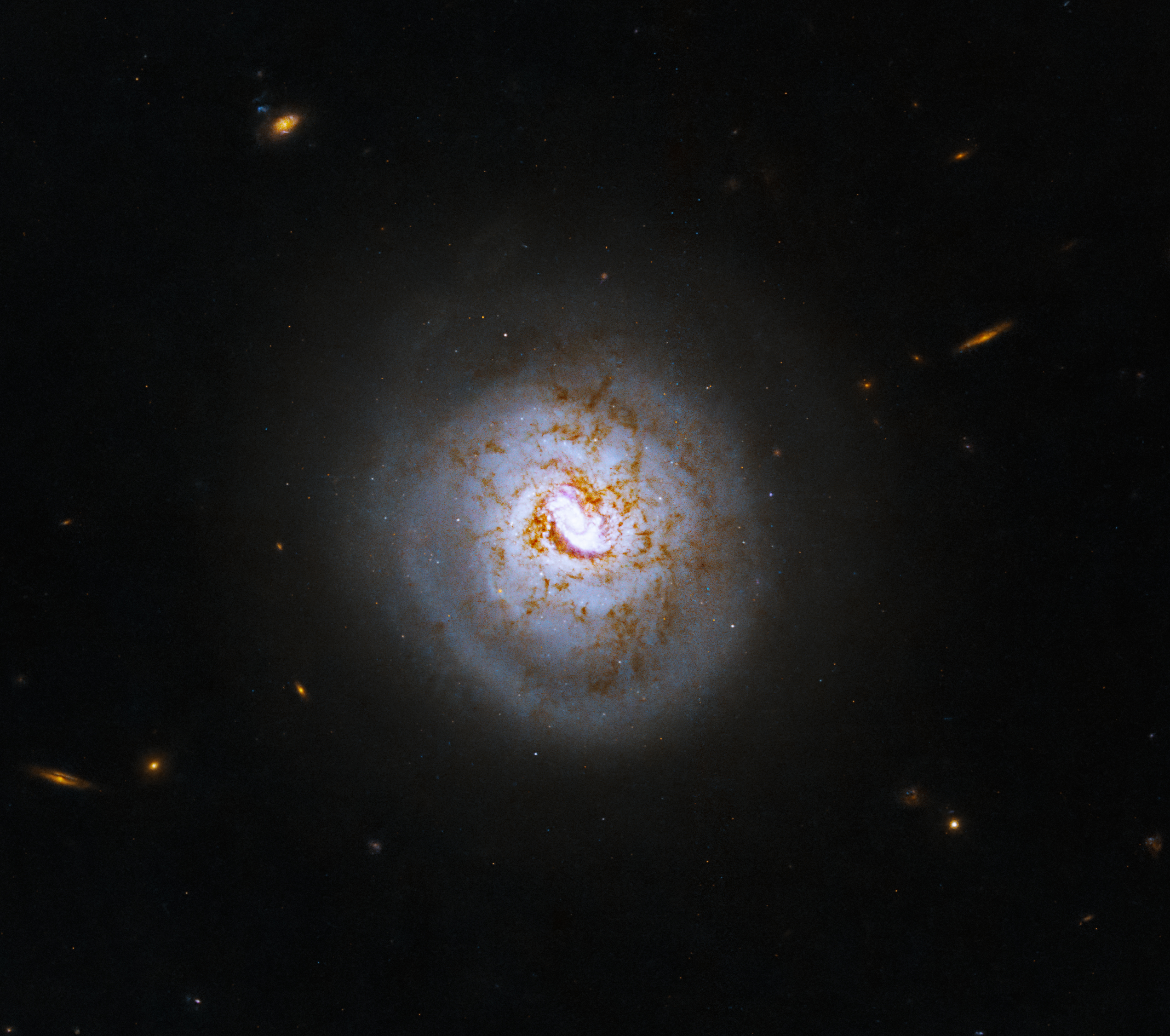 A glowing, white galaxy shines at the center of the image, interlaced with dark brown dust. More distant galaxies and stars fill the black background of space.