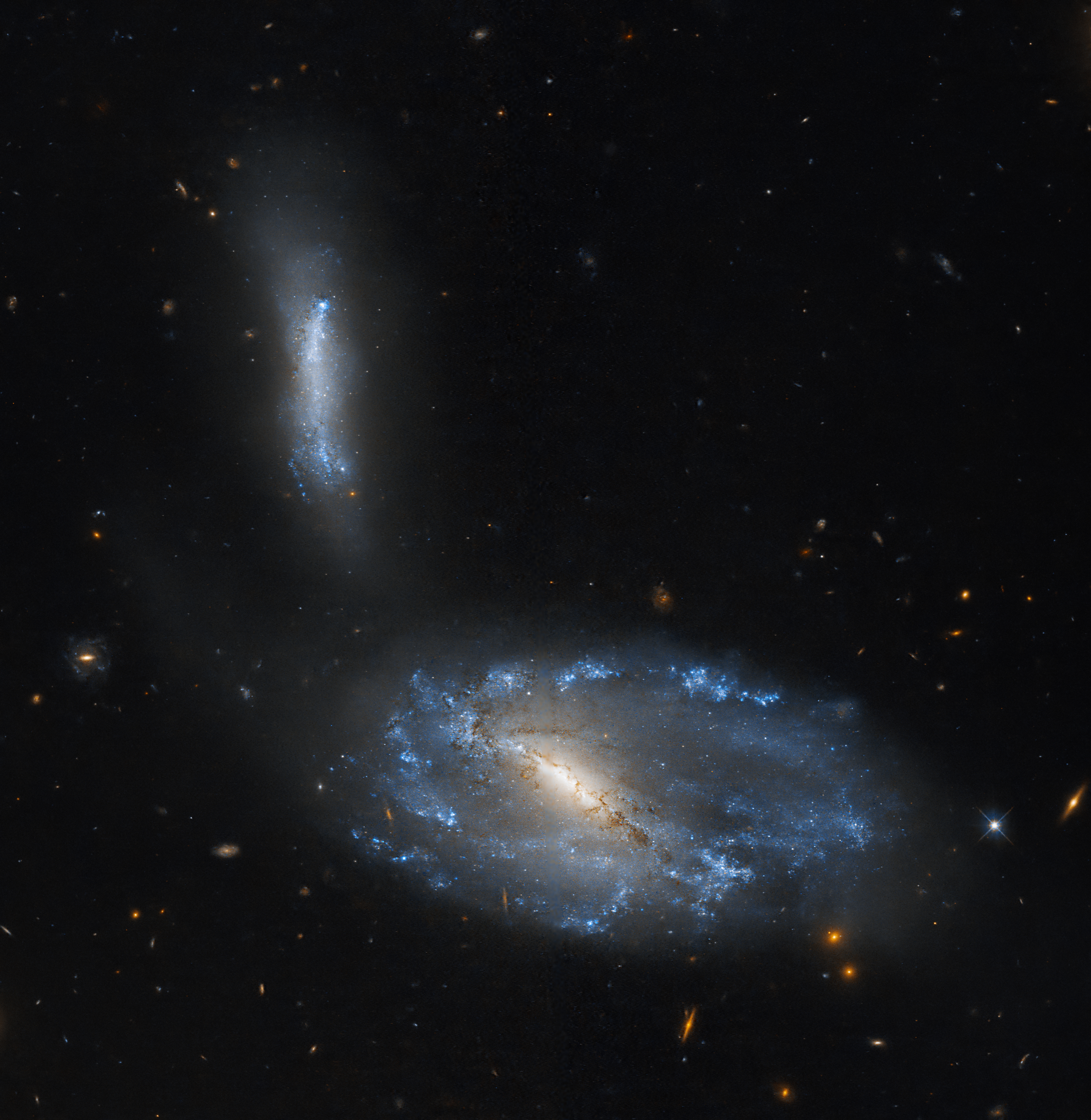 The lower half of the image is filled with a large spiral galaxy that has a bright white bar of stars at its center. To its upper left, a smaller galaxy shines with bright blue stars. It has an irregular shape, appearing almost like a vertical bar of stars. The rest of the image shows black space interspersed with more distant galaxies and stars.