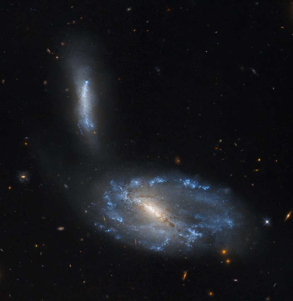 The lower half of the image is filled with a large spiral galaxy that has a bright white bar of stars at its center. To its upper left, a smaller galaxy shines with bright blue stars. It has an irregular shape, appearing almost like a vertical bar of stars. The rest of the image shows black space interspersed with more distant galaxies and stars.