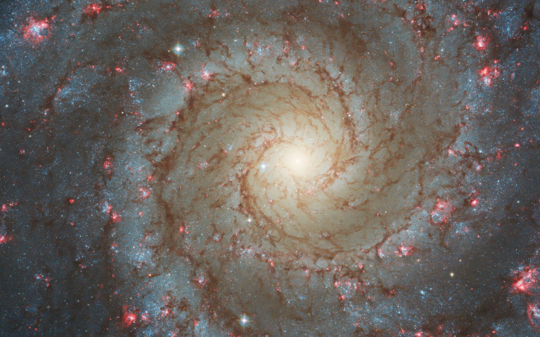 NASA’s Webb Depicts Staggering Structure in 19 Nearby Spiral Galaxies