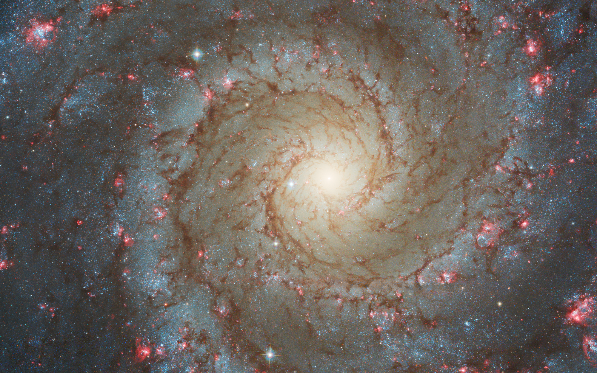 hubble view of ngc628