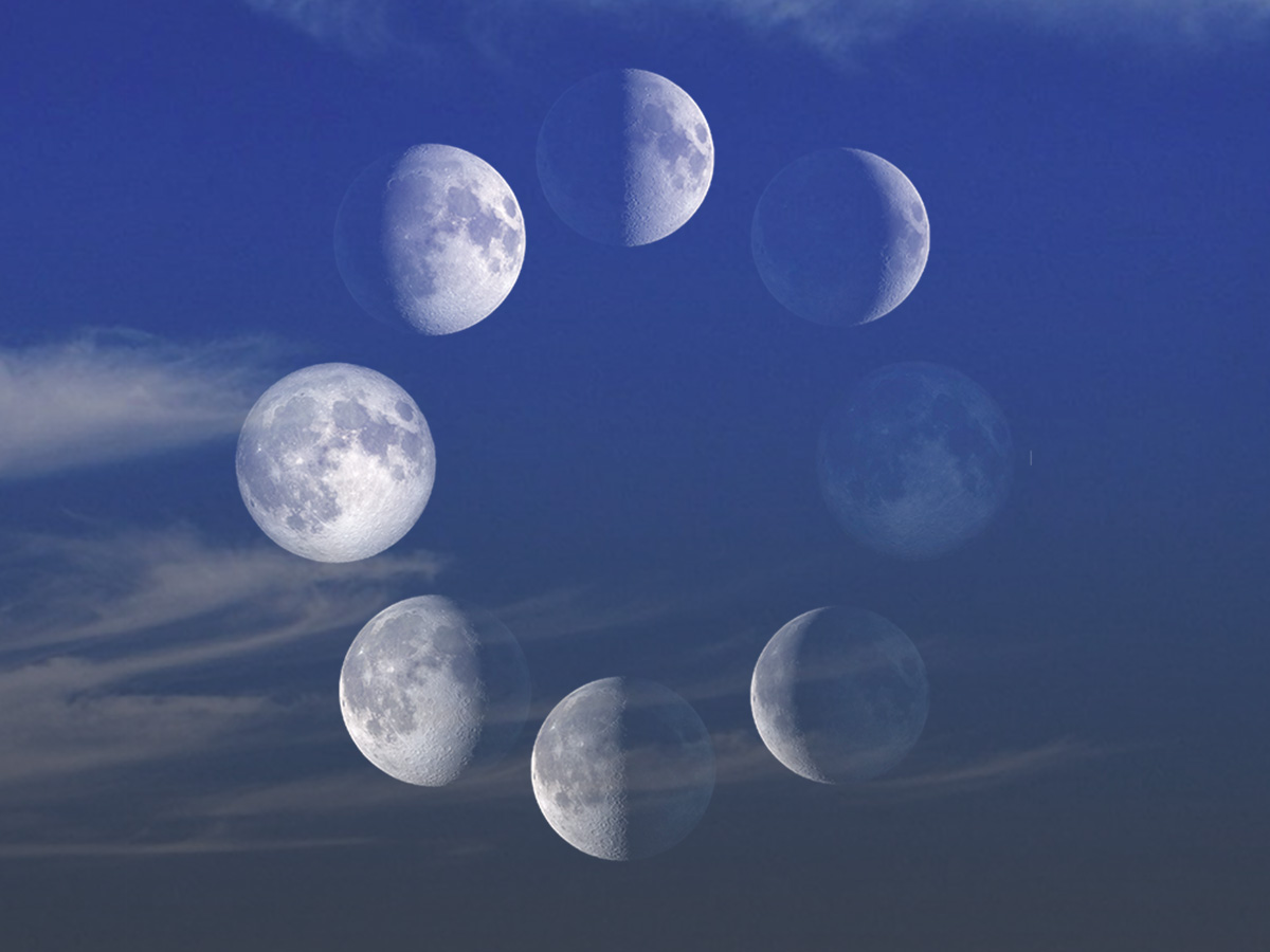 Diagram of the Moon's phases.