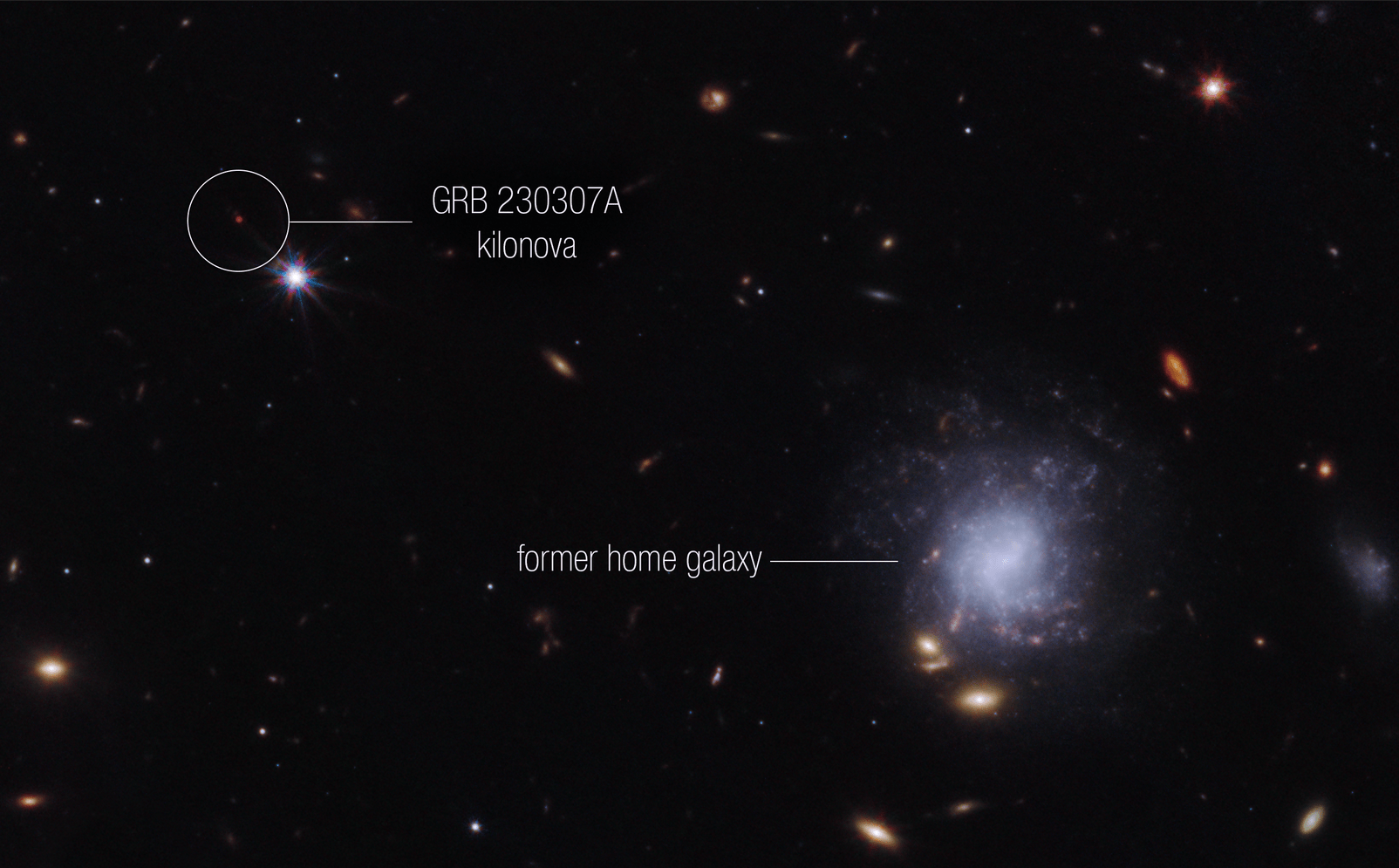 Bright galaxies and other light sources in various sizes and shapes are scattered across a black swath of space: small points, hazy elliptical-like smudges with halos, and spiral-shaped blobs. The objects vary in color: white, blue-white, yellow-white, and orange-red. Toward the center right is a blue-white spiral galaxy seen face-on that is larger than the other light sources in the image. The galaxy is labeled “former home galaxy.” Toward the upper left is a small red point, which has a white circle around it and is labeled “GRB 230307A kilonova.”