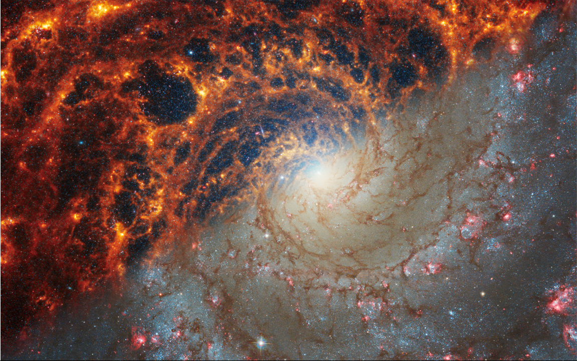 Two observations of a portion of the galaxy NGC 628 are split diagonally, with Webb’s observations at top left and Hubble’s at bottom right. The galaxy’s core is roughly centered and the galaxy’s arms appear to rotate counterclockwise. The spiraling filamentary structure looks somewhat like a cross section of a nautilus shell. In Webb’s image, the spiny spiral arms are composed of many filaments in shades of orange, with prominent dark gray or black “bubbles,” and there is a blue haze near the core. In Hubble’s image, the spiral arms are a mix of bright blue star clusters, pink star forming areas and dark brown dust lanes, and the core is a pale yellow.