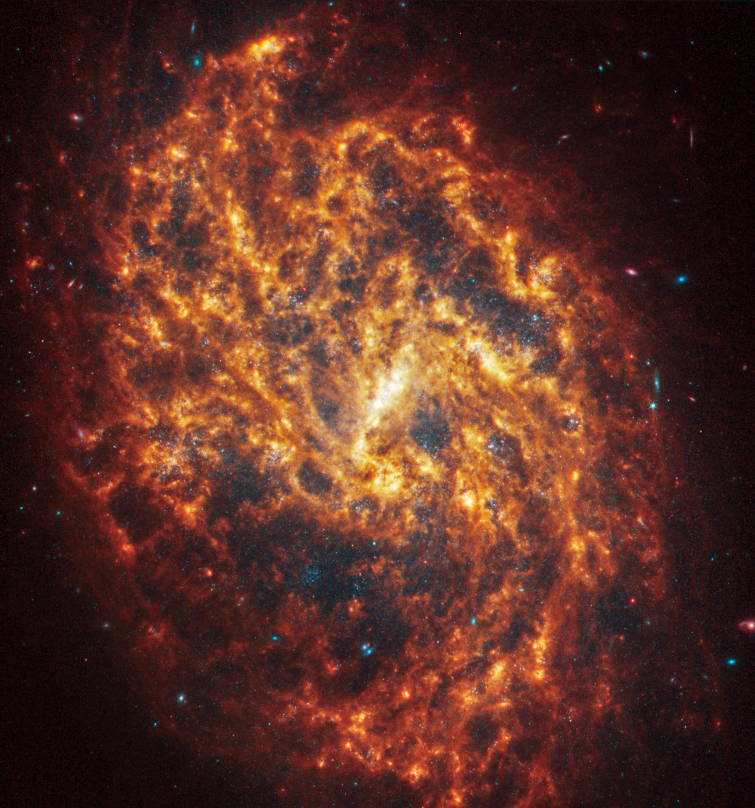 NASA’s Webb Depicts Staggering Structure in 19 Nearby Spiral Galaxies ...