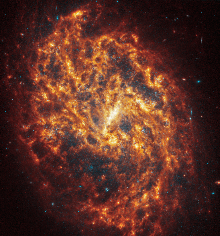 NASA’s Webb Depicts Staggering Structure in 19 Nearby Spiral Galaxies