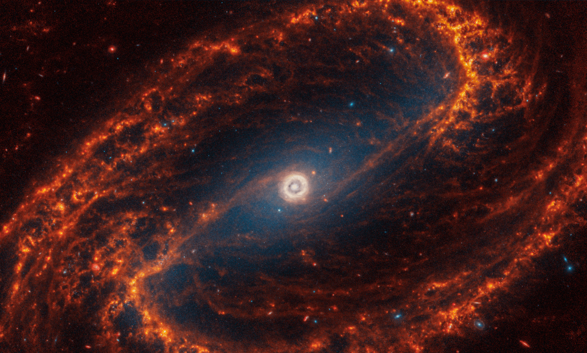 Webb’s image of NGC 1300 shows a face-on barred spiral galaxy anchored by its central region, which is circular and shows a bright white point at the center with a light yellow circle around it. The central core is tiny compared to the rest of the galaxy. The core extends into the galaxy’s prominent diagonal bar structure, which is filled with a blue haze of stars. Orange dust filaments cross the bar, extending diagonally to the top and bottom, connecting the yellow circle in the central core to the galaxy’s spiral arms. There are two distinct orange spiral arms made of stars, gas, and dust that start at the edges of the bar and rotate counterclockwise. Together, the arm and bars form a backward S shape. The spiral arms are largely orange, ranging from dark to bright orange. Scattered across the packed scene are very few bright blue pinpoints of light. There are vast areas between where the orange spiral arms wrap that appear black. The top left and bottom right edges are dark black and there are some larger red and blue points of light, some that appear like disks seen from the side.