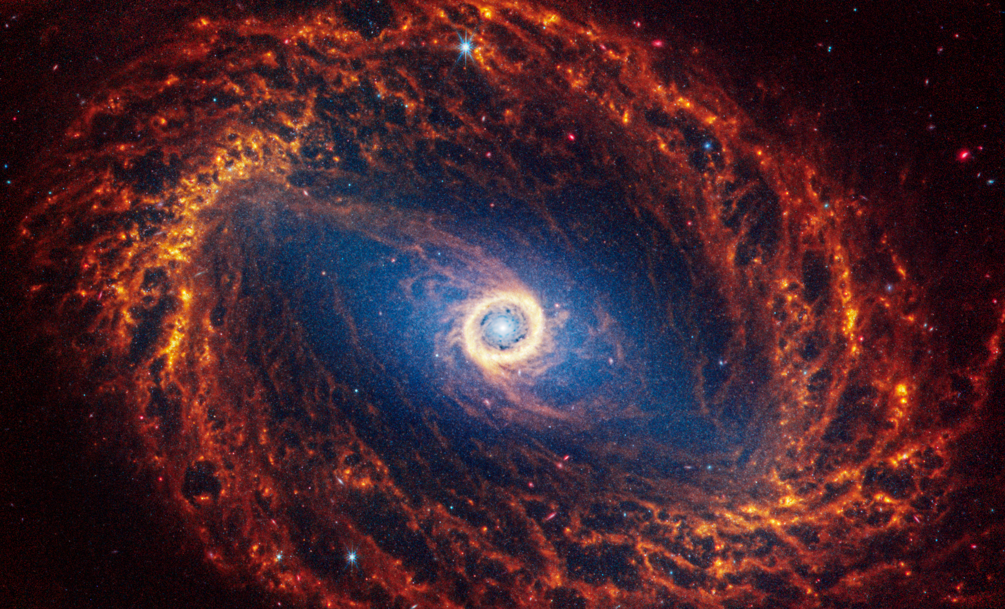Webb’s image of NGC 1512 shows a face-on barred spiral galaxy anchored by its central region, which is circular and shows a bright white point at the center with blue and yellow circles around it. Outside the core is a large bar structure filled with a haze of blue stars, forming a rough parallelogram shape and taking up about a quarter of the area. The bar is crossed by orange filaments made of stars, gas, and dust that extend diagonally to the top left and bottom right. Outside this, the thick orange spiral arms form a rough oval, and within them there are smaller oval areas that appear black. The spiral arms are largely orange, ranging from dark to bright orange and extend beyond the edges of the image. There are many larger blue stars and slightly larger pink points of light spread throughout. Two larger foreground stars with at least six diffraction spikes are at top center and bottom center.