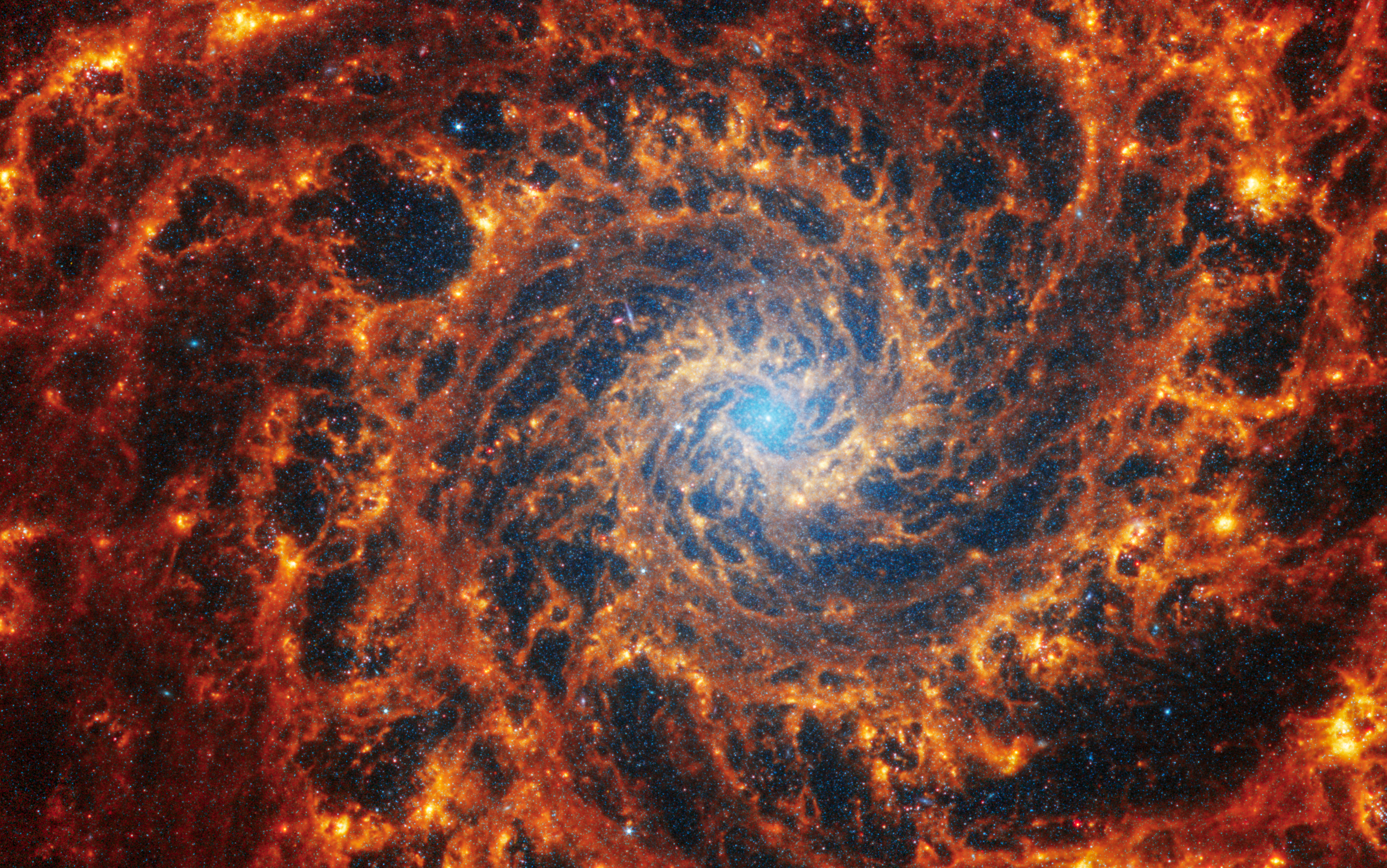 Webb’s image of NGC 628 shows a densely populated face-on spiral galaxy anchored by its central region, which has a light blue haze that takes up about a quarter of the view. In this circular core is the brightest blue area. Within the core are populations of older stars, represented by many pinpoints of blue light. Spiny spiral arms made of stars, gas, and dust also start at the center, largely starting in the wider area of the blue haze. The spiral arms extend to the edges, rotating counterclockwise. The spiraling filamentary structure looks somewhat like a cross section of a nautilus shell. The arms of the galaxy are largely orange, ranging from dark to bright orange. Scattered across the packed scene are some additional bright blue pinpoints of light, which are stars spread throughout the galaxy. In areas where there is less orange, it is darker, and some dark regions look more circular. A prominent dark “bubble” appears to the top left of the blue core. And a wider, elliptical “bubble” to the bottom right.