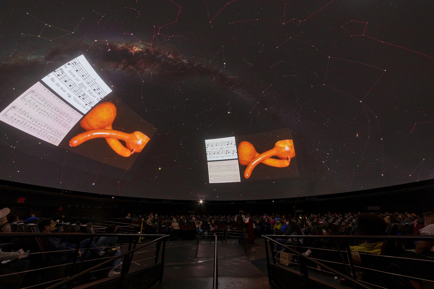The Hayden Planetarium filled with seated guests. Above them, the planetarium dome shows the constellations with slides of sheet music and drinking gourds superimposed.