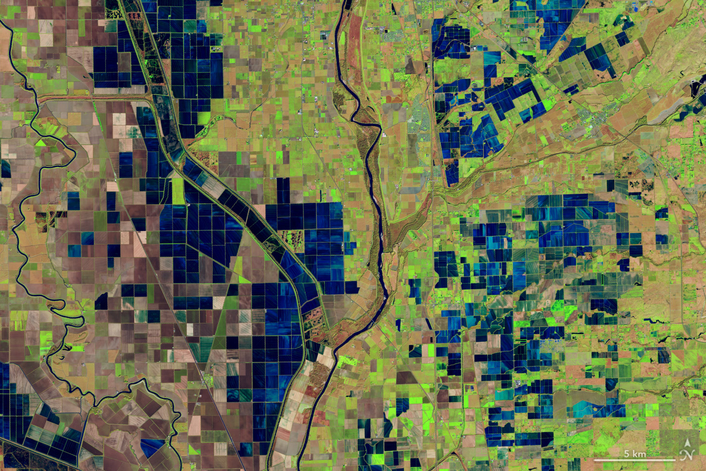This satellite image centers the meandering Sacramento river surrounded by rice fields. The fields are broken into primarily square and rectangular areas with the fields nearest the river being full of green and brown vegetation, and farther from the river they are flooded and appear dark blue.