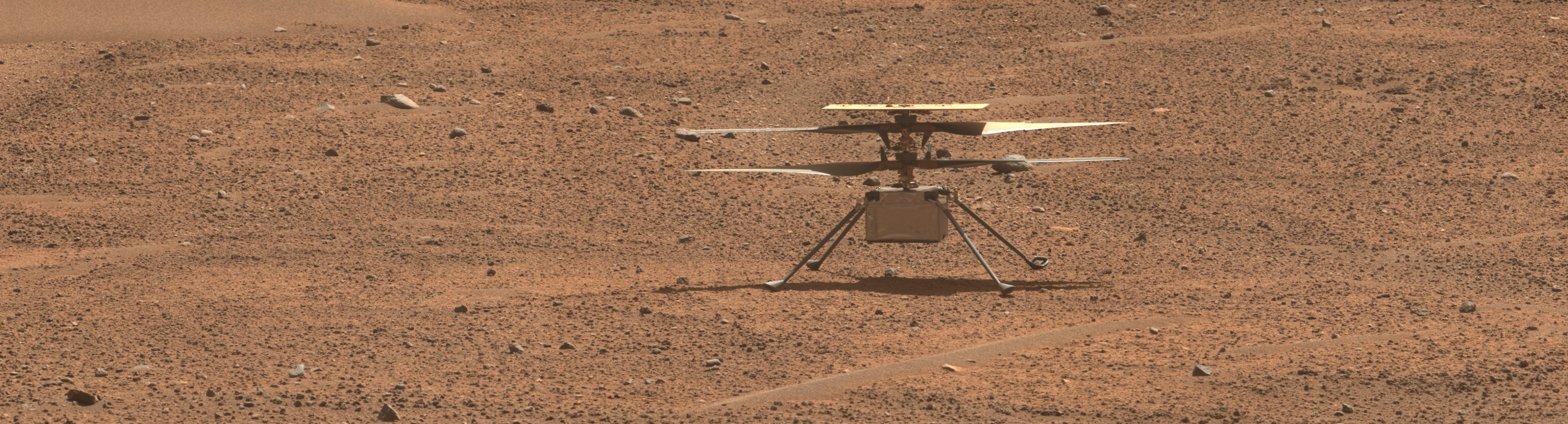 Ingenuity Helicopter on the surface of Mars