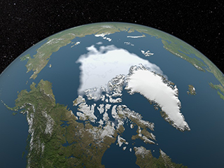 Arctic sea ice.