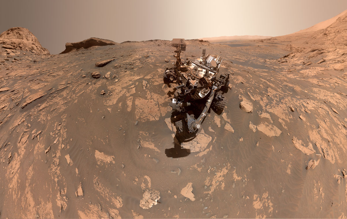 a cropped version of Curiosity's selfie.