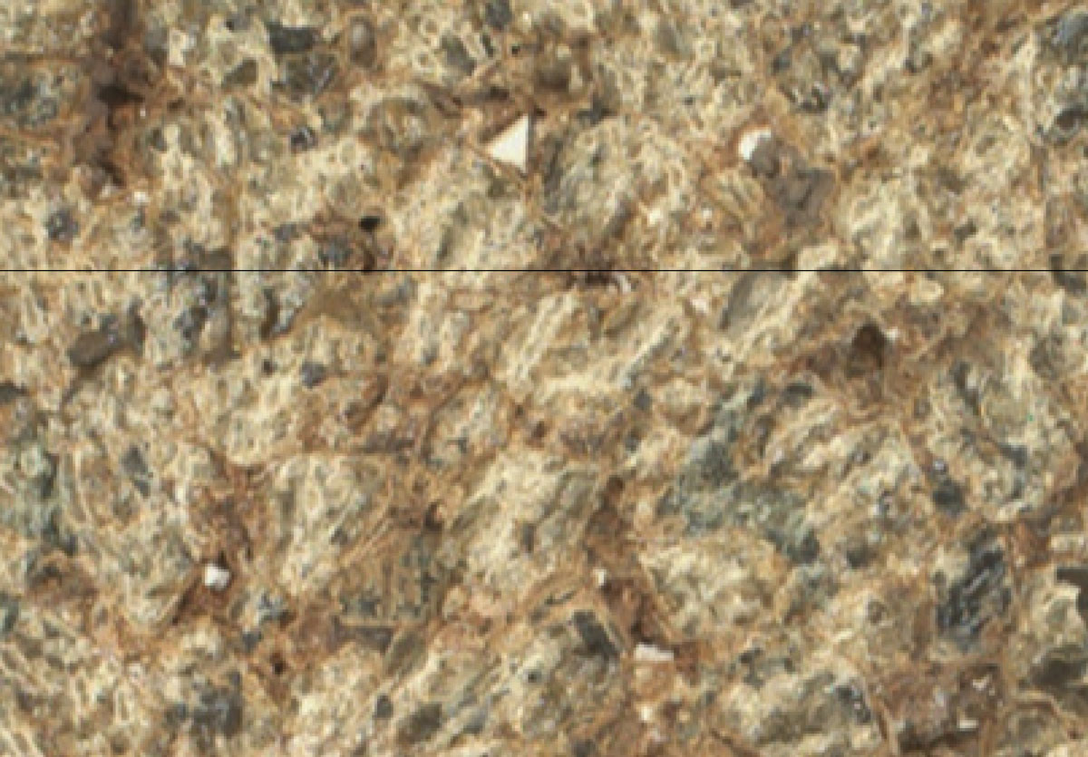 Figure 2 shows a detailed view of the rock surface.