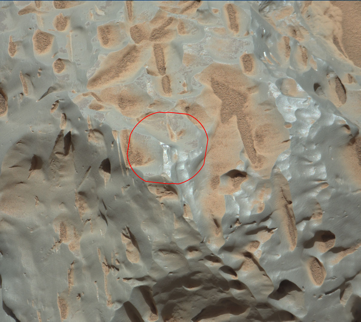 A close-up of Cacao as viewed through Curiosity’s ChemCam instrument.