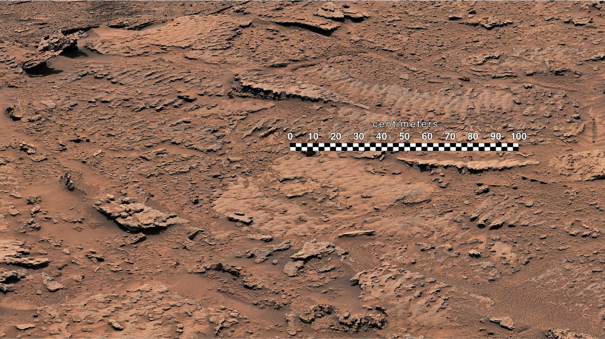Annotated image of sediment formed into rocks with rippled textures.