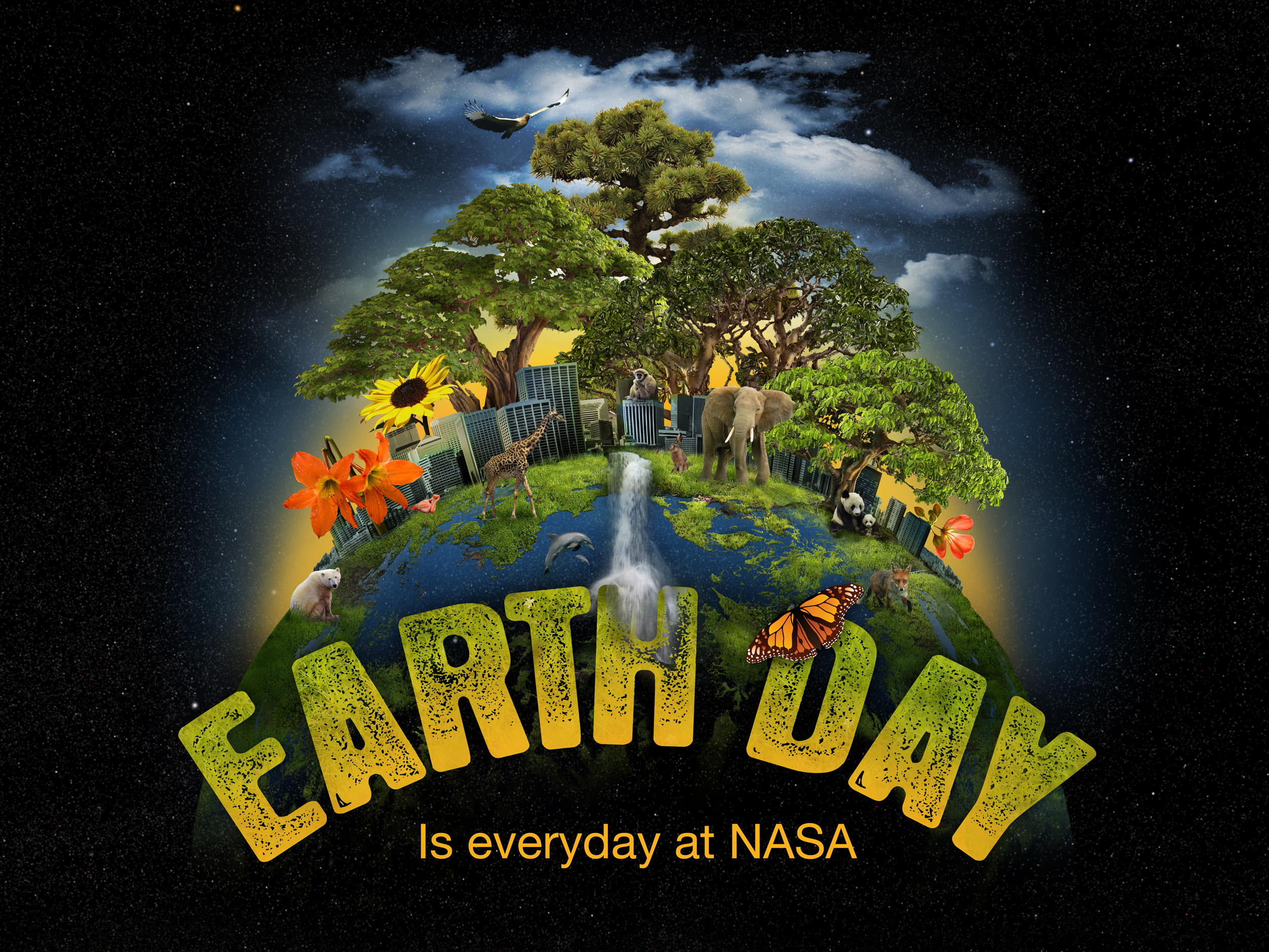 earth day poster assignment