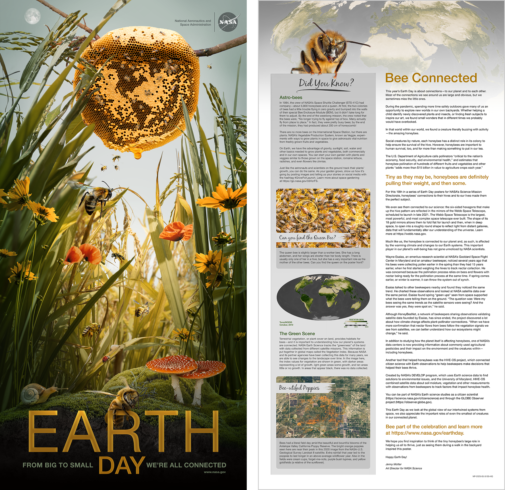 A preview of the Earth day 2021 poster layout