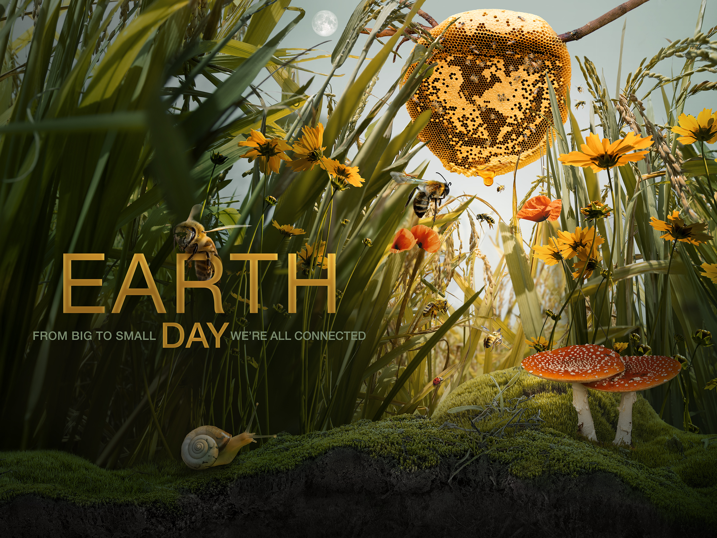 Earth Day 2021 poster