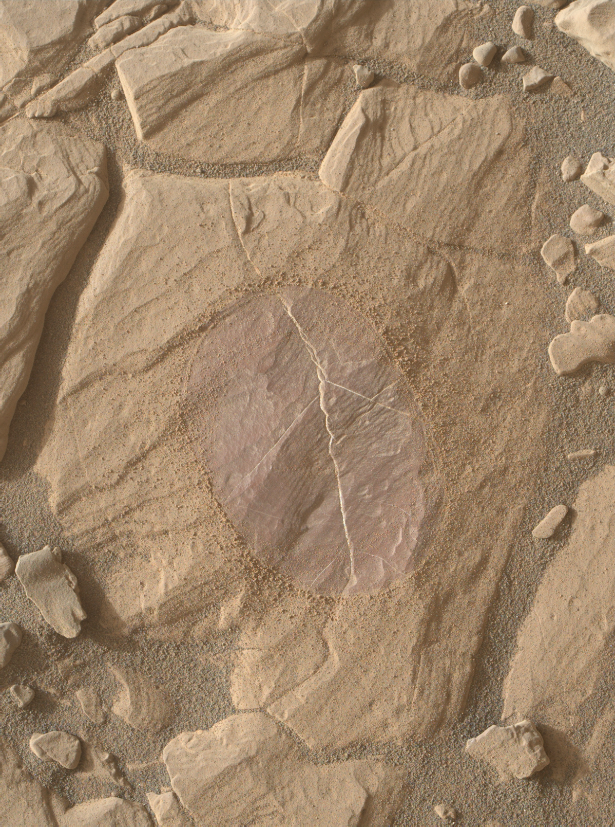 This Sept. 16, 2017, image from the Mars Hand Lens Imager (MAHLI) camera on NASA's Curiosity Mars rover shows effects of using the rover's wire-bristled Dust Removal Tool on a rock target called "Christmas Cove." Removal of dust revealed purplish rock that may contain the mineral hematite.