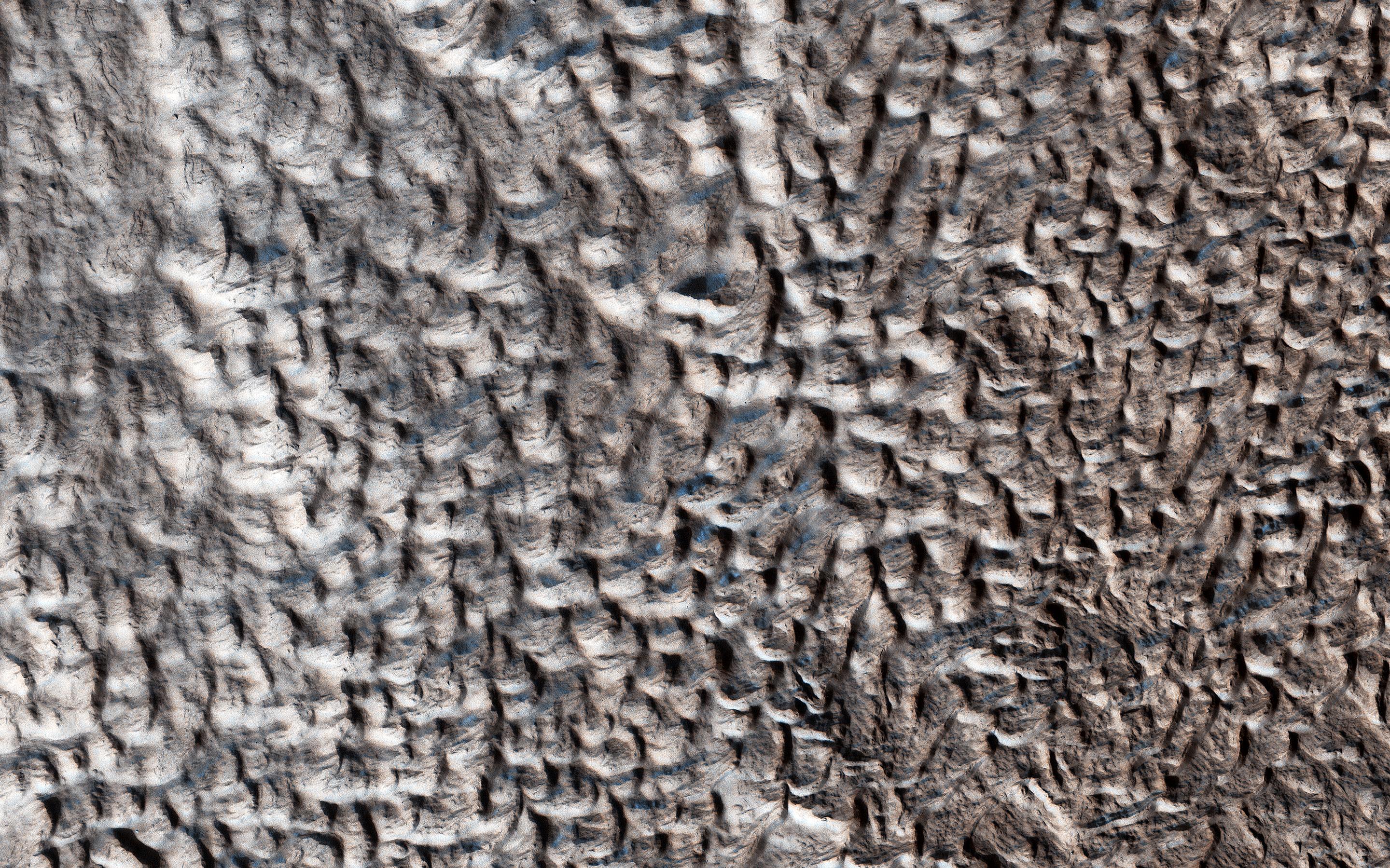 This image acquired on December 11, 2018 by NASAs Mars Reconnaissance Orbiter, shows a surface texture of interconnected ridges and troughs, referred to as brain terrain, found throughout the mid-latitude regions of Mars.