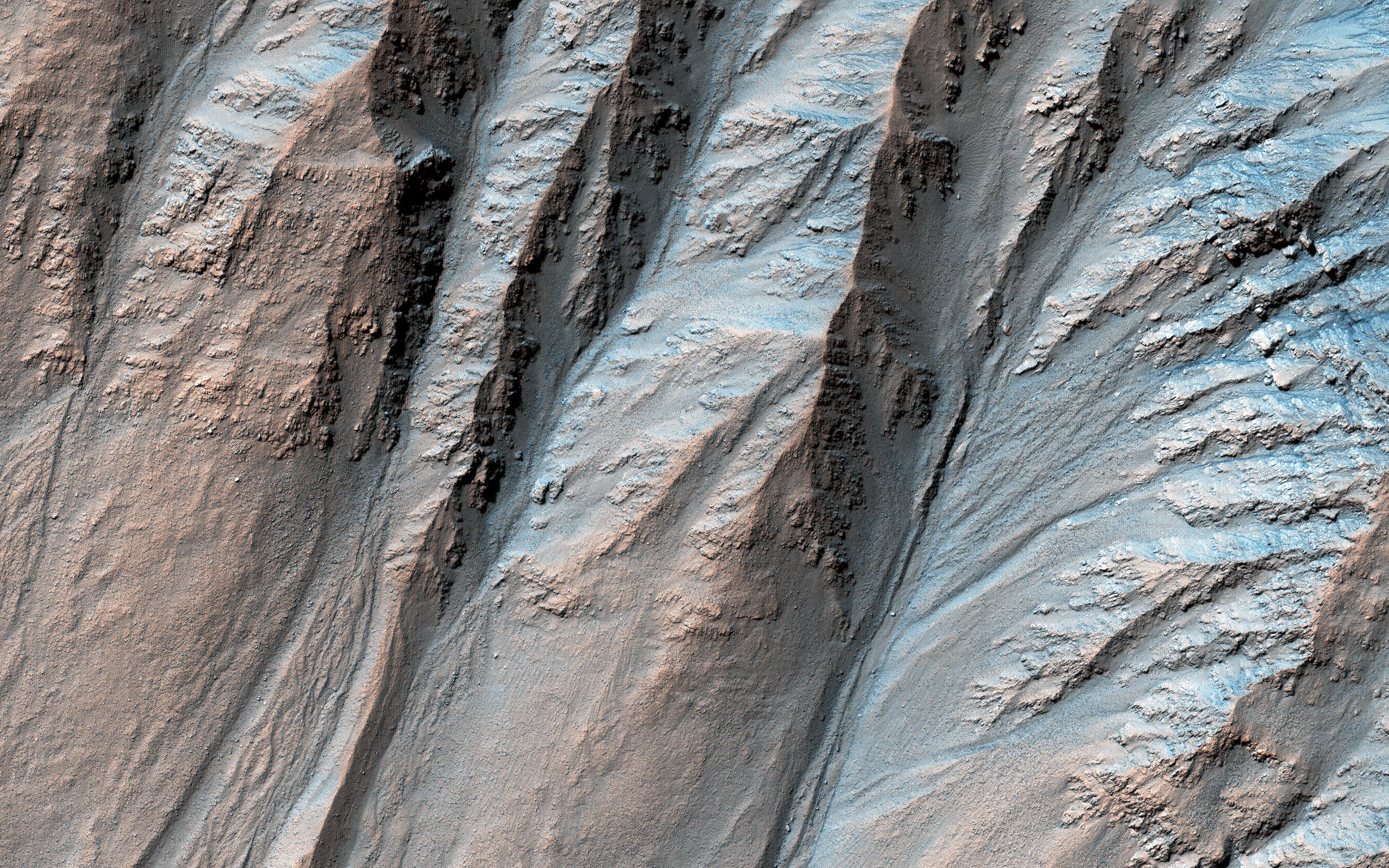 This image acquired on January 10, 2019 by NASAs Mars Reconnaissance Orbiter, shows large gullies on both the pole- and equator-facing slopes.