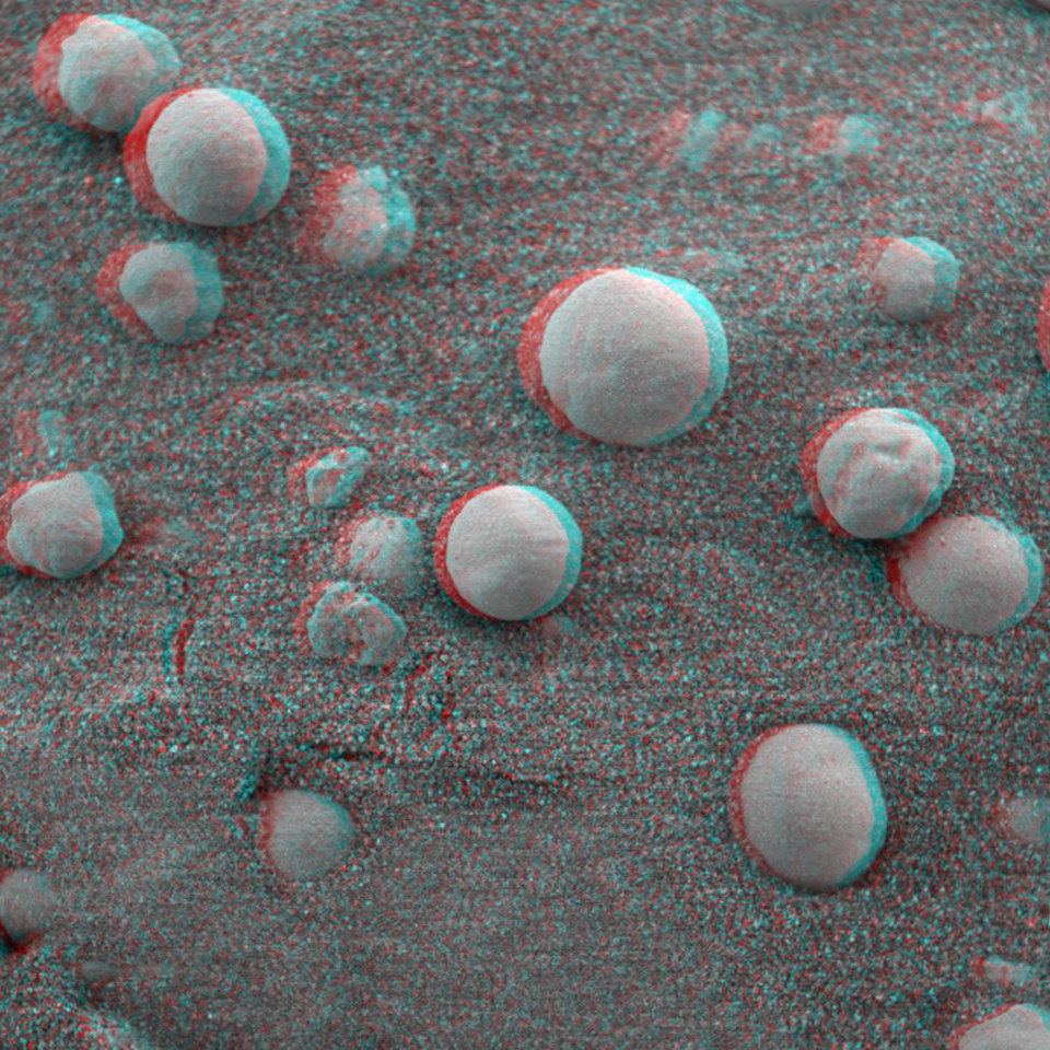This is the 3-D anaglyph showing a microscopic image taken of soil featuring round, blueberry-shaped rock formations on the crater floor at Meridiani Planum, Mars