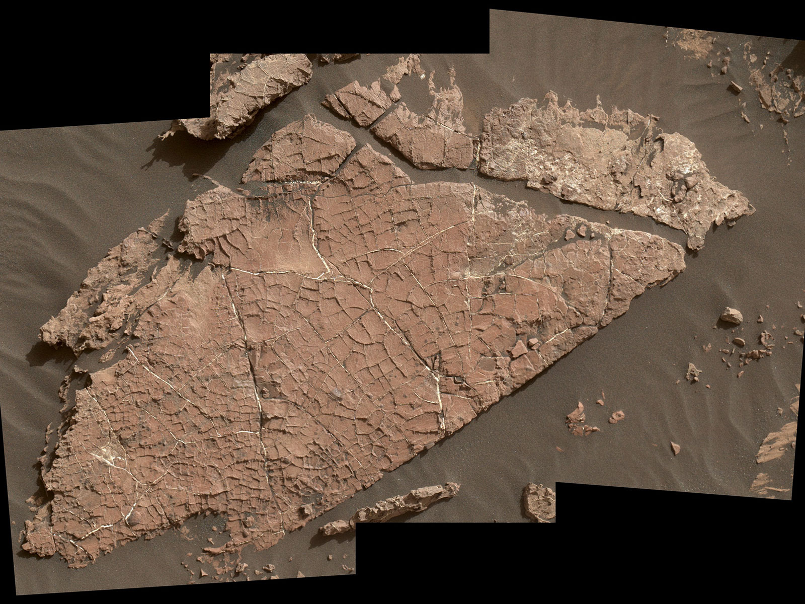 Photo displaying network of cracks on Martian rock slab called "Old Soaker"