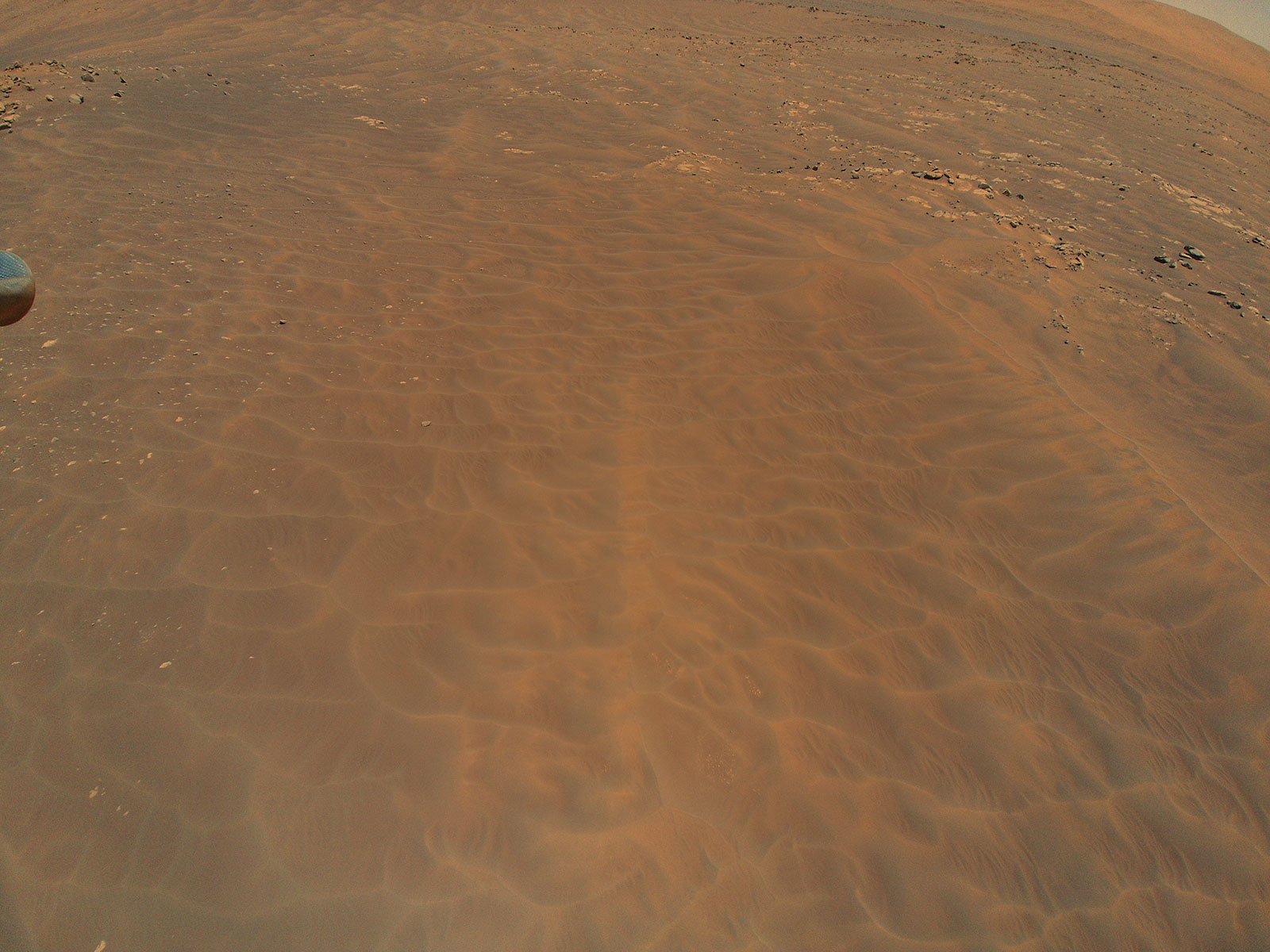 NASA’s Ingenuity Mars Helicopter flew over this dune field in a region of Jezero Crater nicknamed “Séítah” during its ninth flight, on July 5, 2021. A portion of the helicopter’s landing gear can be seen at top left.