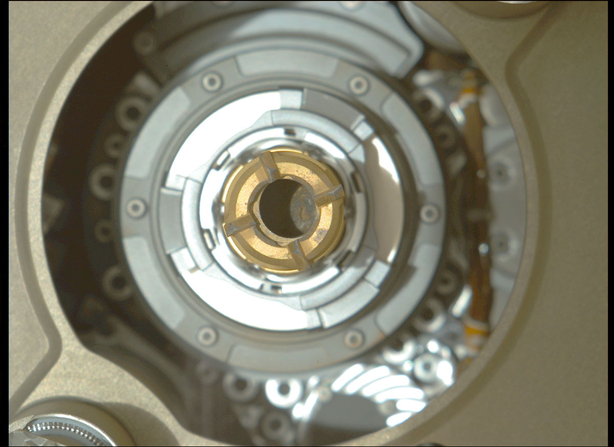 This is a colored image taken by the Mastcam-Z camera that  confirmed the rover had retained a rock core in the sample tube held in the drill at the end of its robotic arm.  The acquired sample of the rock core, which is slightly thicker than a pencil, the rover vibrated it to clear any material stuck between the coring bit and the sample tube within the bit.