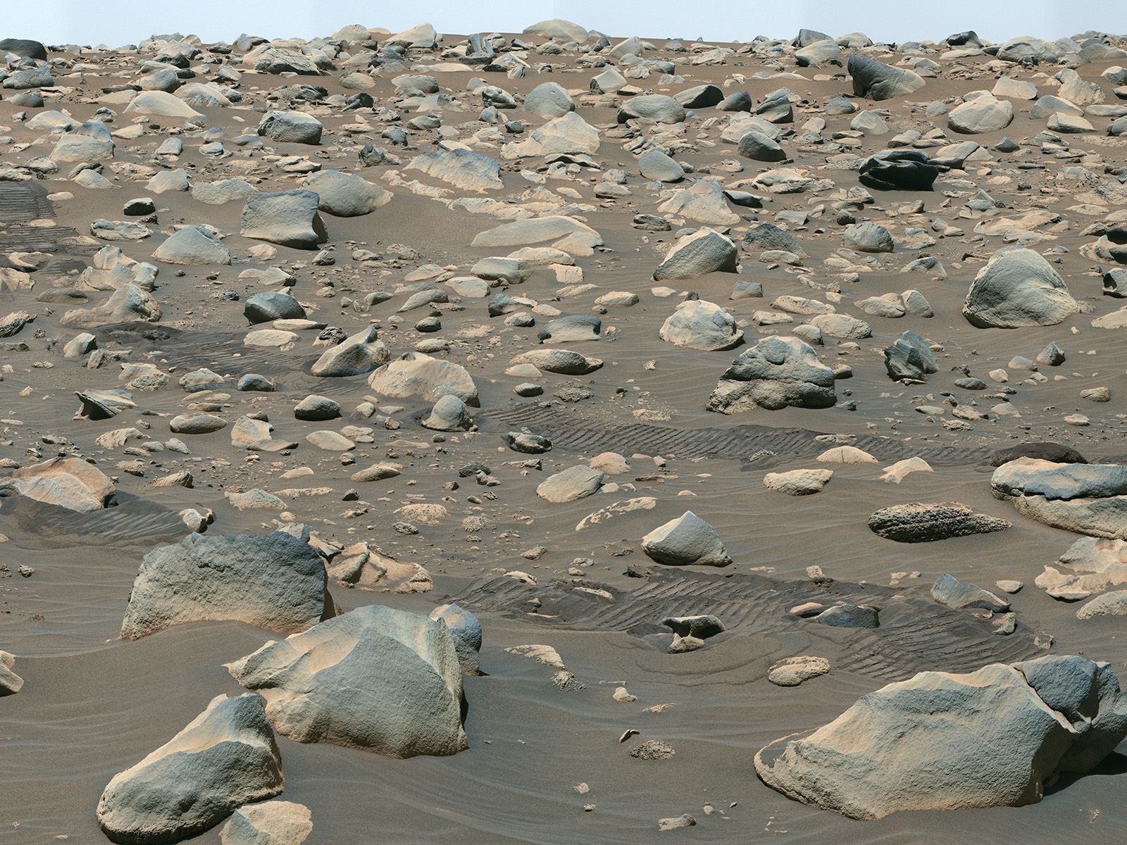 The Mastcam-Z imager on NASA’s Perseverance rover captured a series of images on July 6 that were stitched together to show a field of boulders deposited in Jezero Crater by a fast-moving ancient river.
